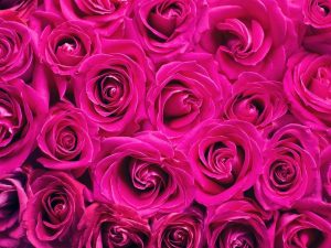 Tips to Add Your Favourite Wallpaper Into Your Wedding Decor